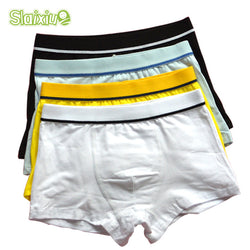 4 Pcs/lot High Quality Cotton Kids Boys Underwear