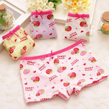 4pcs/lot 2017 Fashion New Cartoon Cat  Baby Underwear