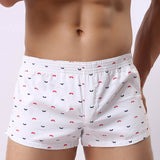 Hot New Underwear Men 2017