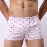 Hot New Underwear Men 2017