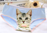 Hot Selling Women's Underwear Cat Panties Sexy Girls