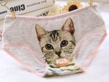 Hot Selling Women's Underwear Cat Panties Sexy Girls