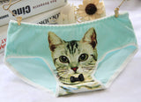 Hot Selling Women's Underwear Cat Panties Sexy Girls
