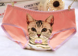 Hot Selling Women's Underwear Cat Panties Sexy Girls