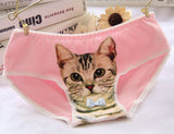Hot Selling Women's Underwear Cat Panties Sexy Girls