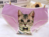 Hot Selling Women's Underwear Cat Panties Sexy Girls
