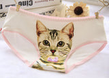 Hot Selling Women's Underwear Cat Panties Sexy Girls