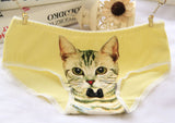 Hot Selling Women's Underwear Cat Panties Sexy Girls