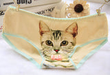 Hot Selling Women's Underwear Cat Panties Sexy Girls